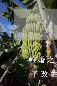 離婚之后給兒子改姓好改嗎(離婚了可以給孩子改姓嗎怎么改)