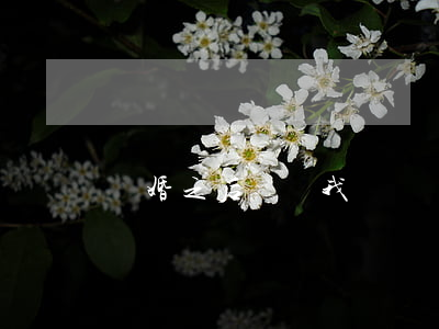 離婚之后說愛我