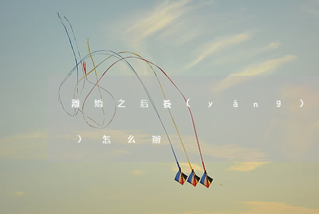離婚之后養(yǎng)老保險(xiǎn)怎么辦