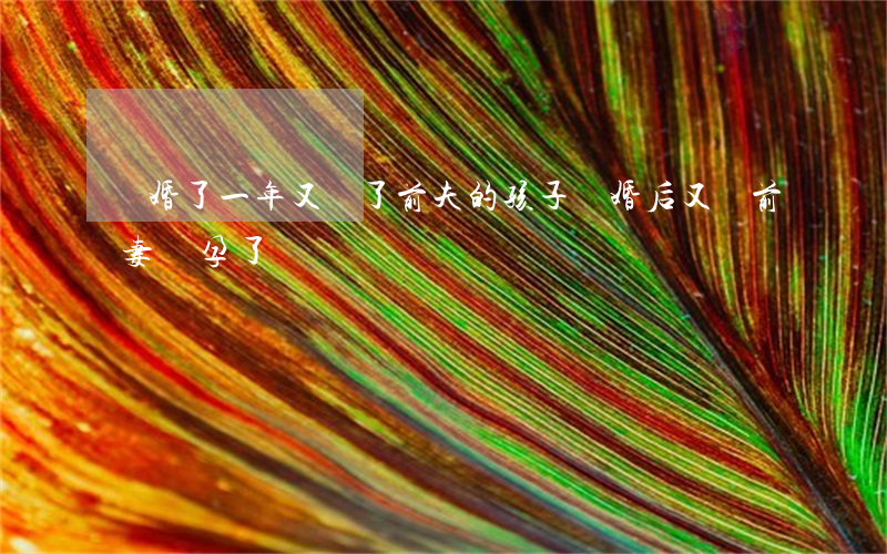離婚了一年又懷了前夫的孩子(離婚后又讓前妻懷孕了)