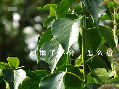 離婚了不分戶怎么辦