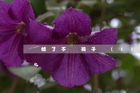 離婚了不讓孩子聯(lián)系媽媽的怎么辦