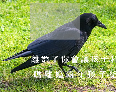 離婚了你會讓孩子和父親聯(lián)系嗎(離婚兩年,孩子給爸爸,還有必要聯(lián)系嗎)