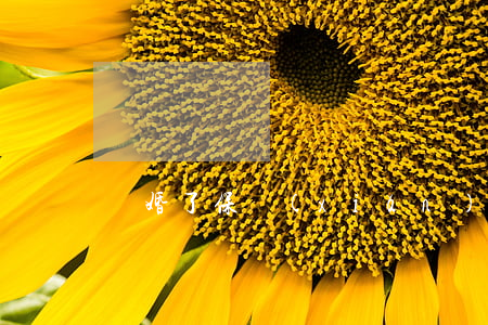 離婚了保險(xiǎn)退保追溯期
