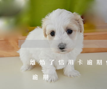 離婚了信用卡逾期會上門找嗎(離婚后信用卡逾期)