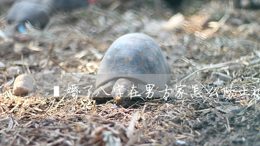 離婚了八字在男方家怎么防止被害