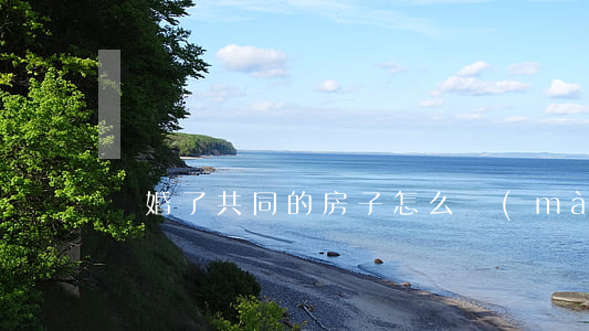 離婚了共同的房子怎么賣(mài)