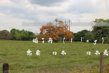 離婚了再領(lǐng)結(jié)婚證需要戶口本嗎(戶口本是離婚狀態(tài),可以直接領(lǐng)結(jié)婚證嗎)