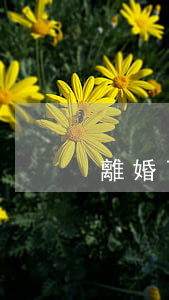 離婚了前夫賠償金沒拿完怎么辦