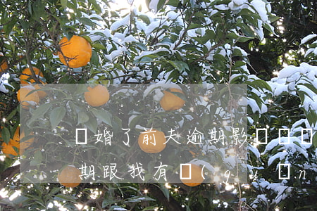 離婚了前夫逾期影響嗎(離婚后前夫信用卡逾期跟我有關(guān)系嗎)