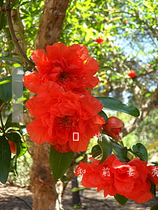 離婚了前妻不還我信用卡(離婚后信用卡逾期和前妻有關(guān)系嗎)