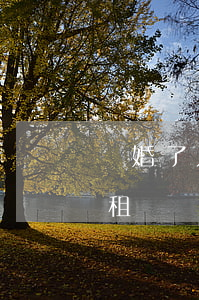 離婚了只能在外面租房子(離婚了公租房還能租嗎)