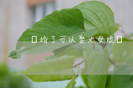 離婚了可以娶丈母娘嗎