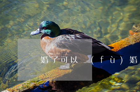離婚了可以復(fù)婚嗎