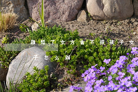 離婚了女方舍不得孩子(女人離婚后舍不得孩子怎么辦)