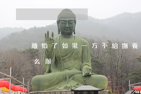 離婚了如果一方不給撫養(yǎng)費怎么辦