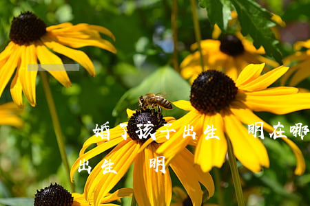 離婚了孩子出生證明在哪里辦(離婚了可以辦出生證明嗎)