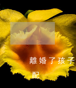 離婚了孩子怎樣分配(兩個兒子離婚了怎么分配)