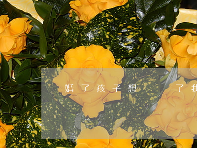 離婚了孩子想媽媽了我該怎么辦