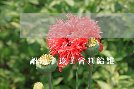 離婚了孩子會判給誰