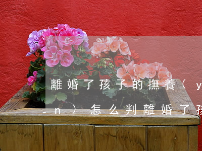 離婚了孩子的撫養(yǎng)權(quán)怎么判(離婚了孩子的撫養(yǎng)權(quán)怎么判)