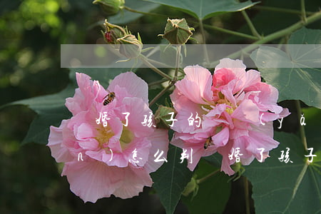 離婚了孩子的撫養(yǎng)權(quán)怎么判(離婚了孩子的撫養(yǎng)權(quán)怎么判養(yǎng)到幾歲)