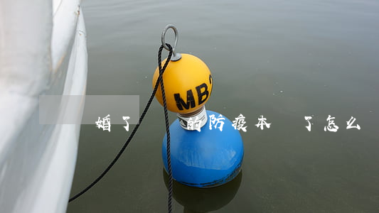離婚了寶寶的防疫本丟了怎么辦