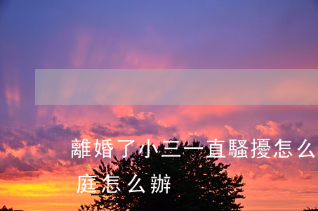 離婚了小三一直騷擾怎么辦(小三一直騷擾家庭怎么辦)