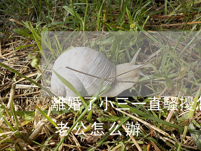 離婚了小三一直騷擾怎么辦(小三離婚了糾纏老公怎么辦)