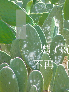 離婚了就不再結(jié)婚怎么過(離婚后不再結(jié)婚)