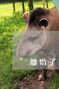 離婚了彩禮給男方了該怎么辦