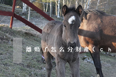 離婚了怎么分財產(chǎn)