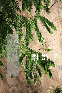 離婚了怎么找個大姑娘