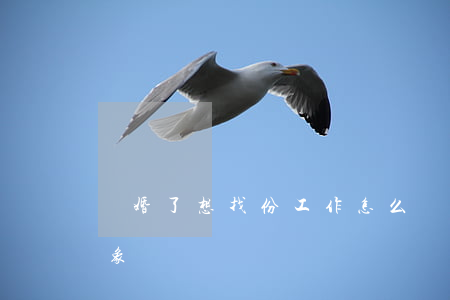 離婚了想找份工作怎么辦(離婚后如何再找對象)