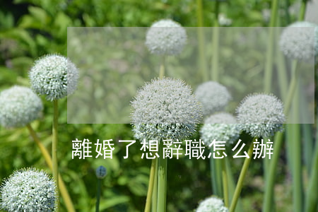 離婚了想辭職怎么辦