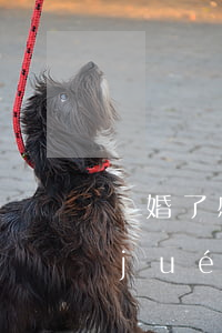 離婚了感覺(jué)好傷感(離婚的感覺(jué)真是非常痛苦)