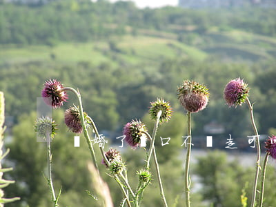 離婚了戶口不遷走可以嗎