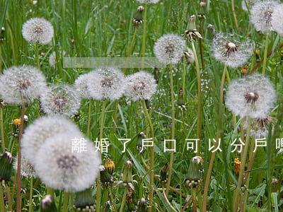 離婚了戶口可以分戶嗎