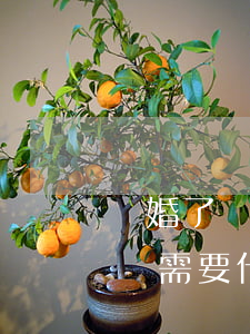 離婚了戶口可以獨立嗎(離婚了戶口可以獨立嗎需要什么手續(xù))