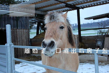 離婚了戶口遷出后房子怎么辦