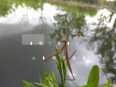 離婚了房產(chǎn)沒有變更房子能賣么(離婚了房產(chǎn)沒有變更房子能賣么)