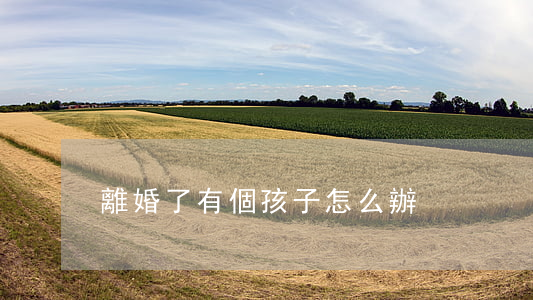 離婚了有個孩子怎么辦