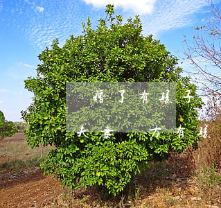 離婚了有孩子雙方還能聯(lián)系嗎(夫妻雙方有孩子怎么辦理離婚)