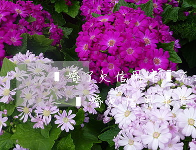 離婚了欠信用卡還不上會(huì)怎么樣-離婚欠信用卡怎么辦