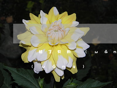 離婚了欠的網(wǎng)貸(離婚了欠的網(wǎng)貸)