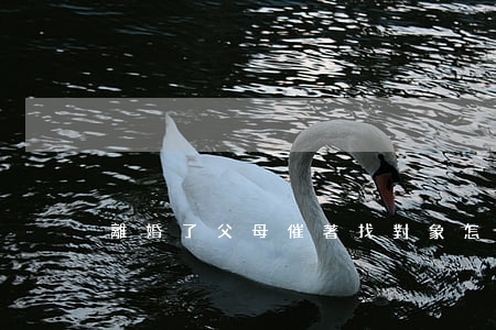離婚了父母催著找對象怎么辦