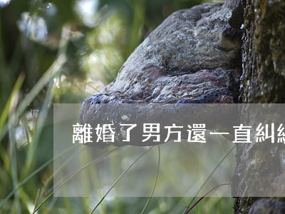 離婚了男方還一直糾纏怎么辦