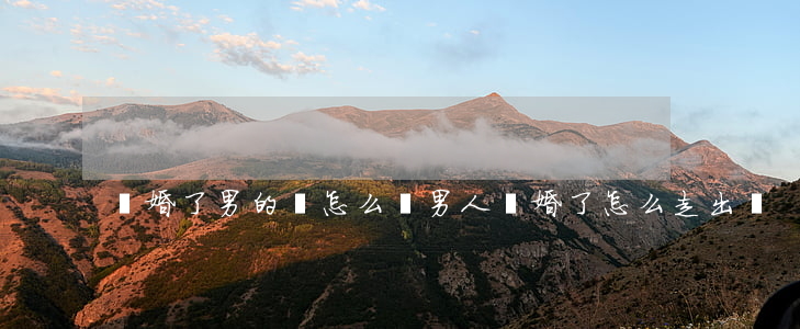 離婚了男的該怎么辦(男人離婚了怎么走出來)