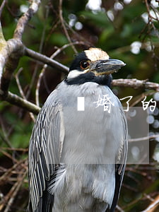 離婚了的女人嫁不出去怎么辦