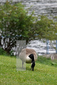 離婚了給前妻轉(zhuǎn)錢可以要回來嗎(在離婚之前妻子轉(zhuǎn)走錢怎么辦)